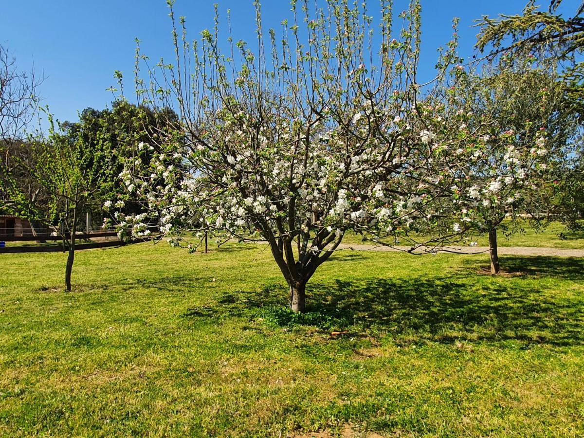Mas Des Gardies * Saint-Julien-de-Peyrolas